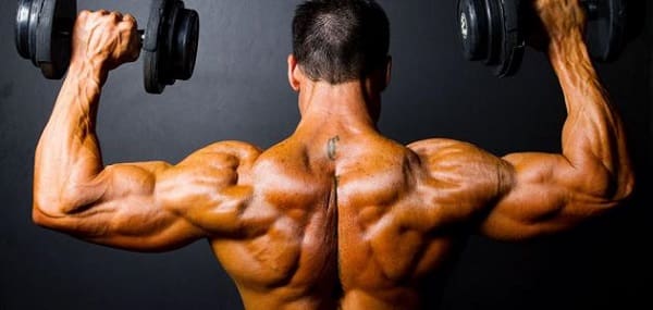 أفضل أنواع الأمينو لتضخيم العضلات