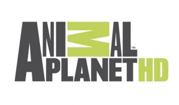 تردد قناة animal planet