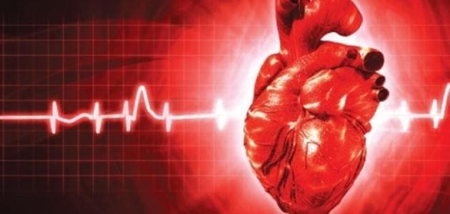 أسباب تسارع ضربات القلب عند المجهود