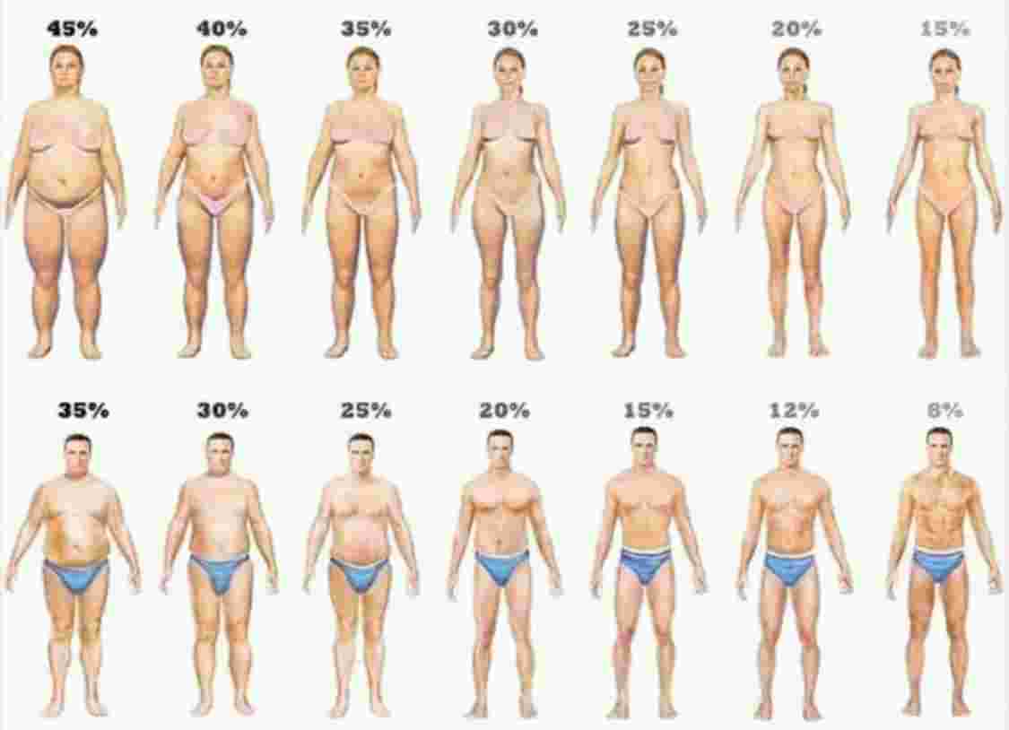 التخلص من نسبة الدهون الزائدة في الجسم