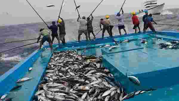 تفسير حلم صيد السمك بالسنارة