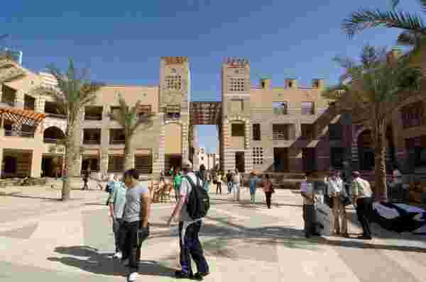 كورسات الجامعة الامريكية في مصر