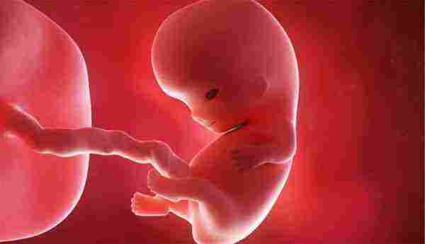 حامل قبل موعد الدورة بعشرة ايام كيف اعرف ذلك واهم معلومة عن الحمل المبكر هي الزيادة