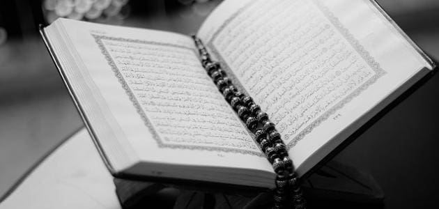 بحث عن قصة نبي ذكر في القرآن الكريم