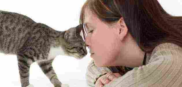 هل يمكن علاج داء القطط اثناء الحمل