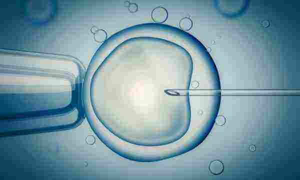 تحديد نوع الجنين بالحقن المجهري