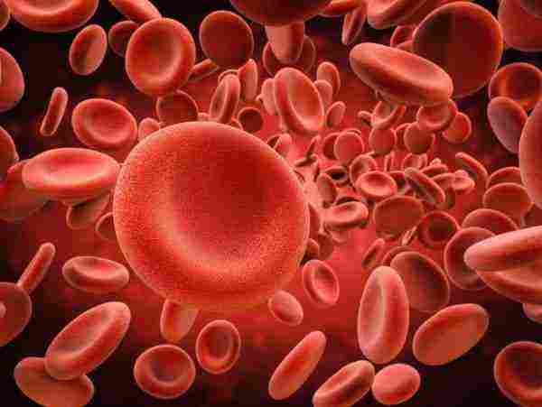 طرق قياس حجم الدم في جسم الإنسان