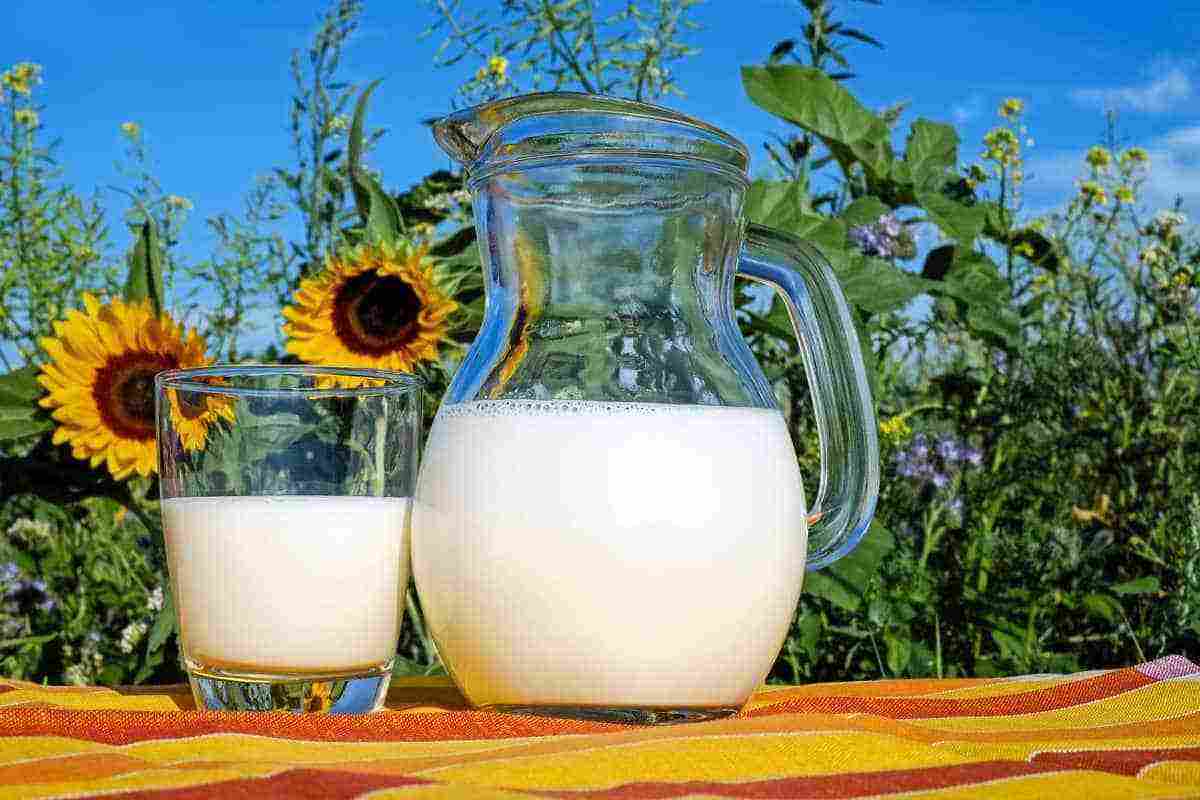 تفسير شرب الحليب في المنام بجميع تأويلاته زيادة