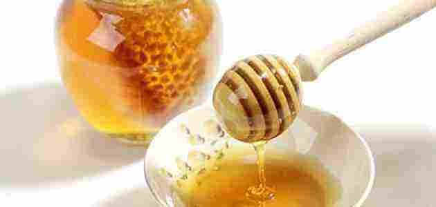 كيف تصنع النحلة العسل تعرف على الطريقة بالتفصيل