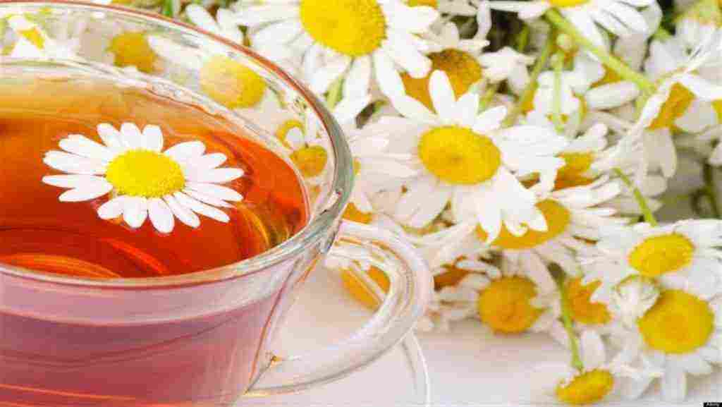 طريقة عمل شاي البابونج وفوائده لصحة الجسم