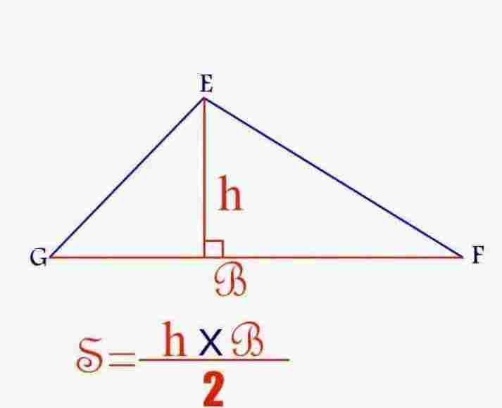 ما هي مساحة المثلث