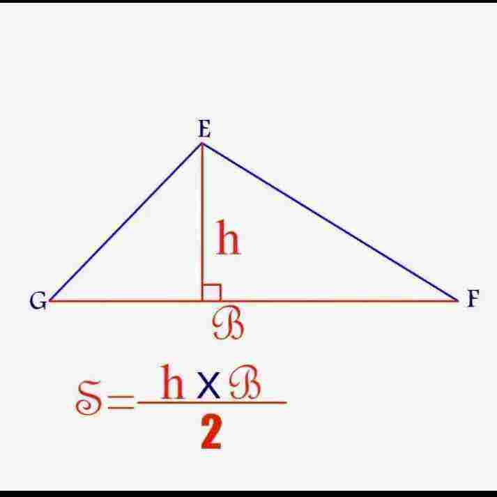 المثلث مساحة مساحة المثلث