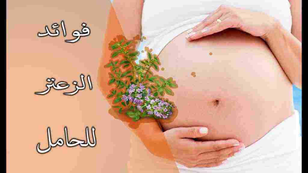 فوائد الزعتر للحامل وأثاره الجانبية على المرأة والجنين زيادة