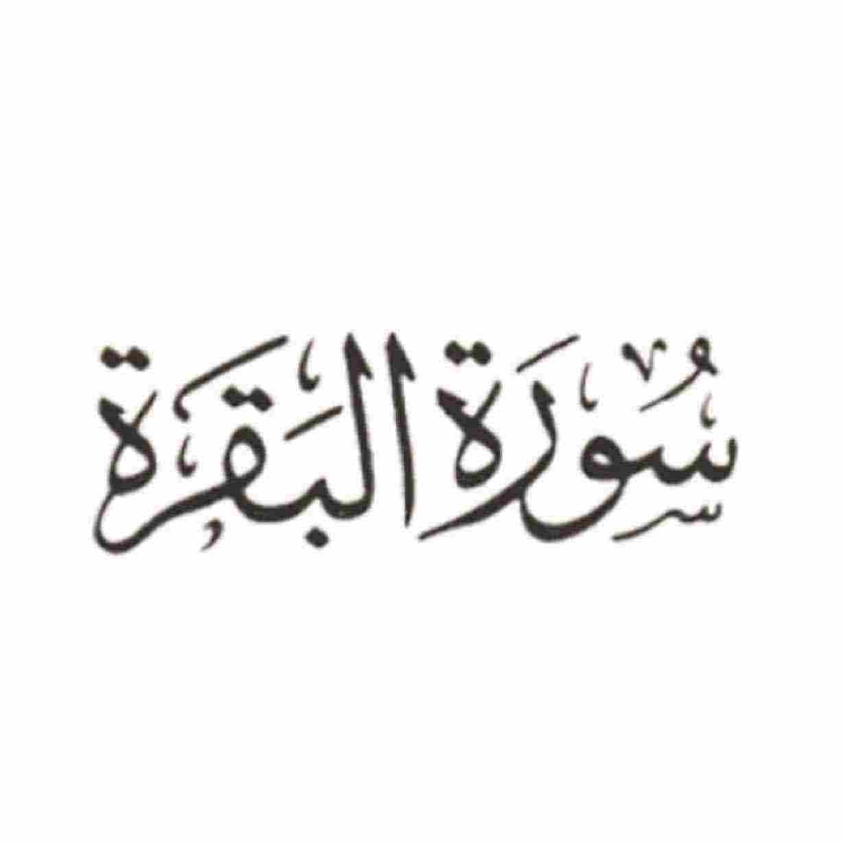 القرآن الكريم أطول قصة في ماهي ماهي اطول