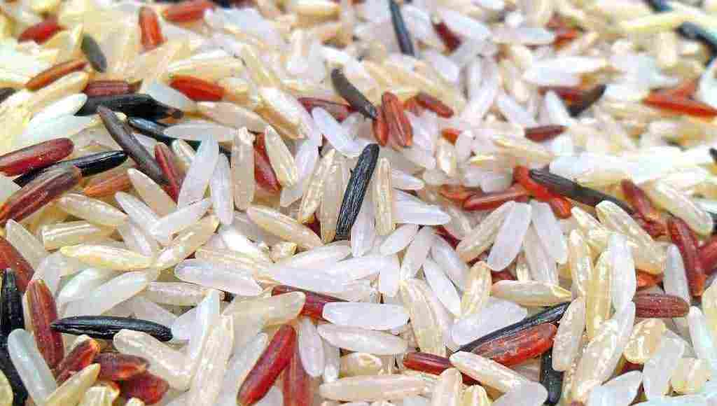 نسبة البروتين في الأرز