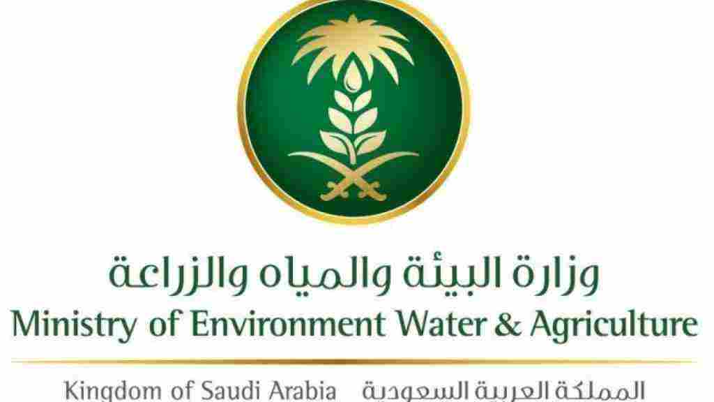  وزارة المياه والكهرباء السعودية الفواتير
