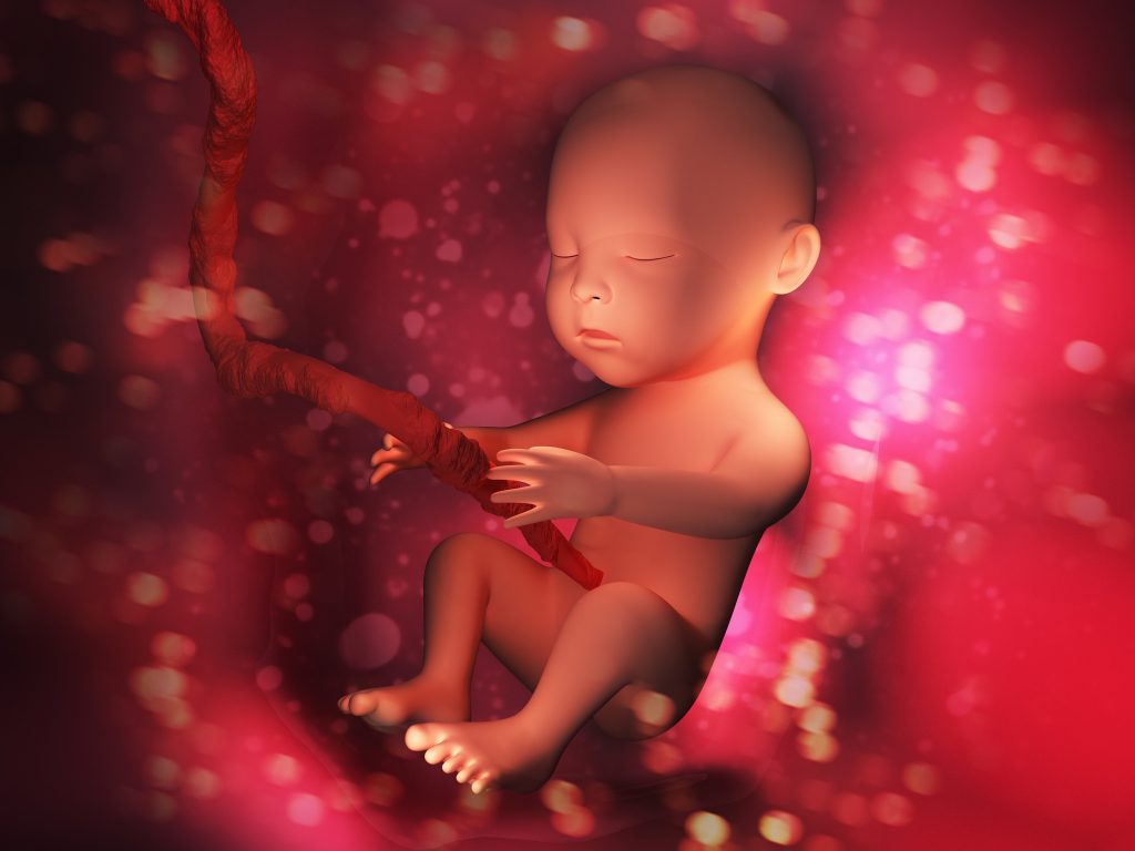 أسباب موت الجنين في الشهر الثالث