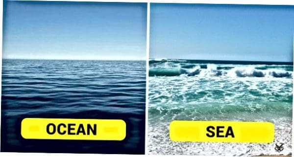 الفرق بين البحر والمحيط