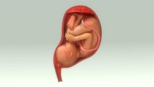 أسباب نزول الجنين أسفل البطن في الشهر الخامس وعلامات الحمل عند السيدات زيادة