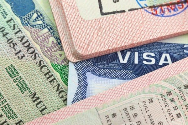 بحث عن التأشيرة برقم الطلب