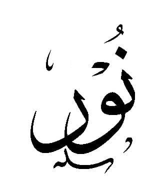 معنى اسم نور في القرآن الكريم