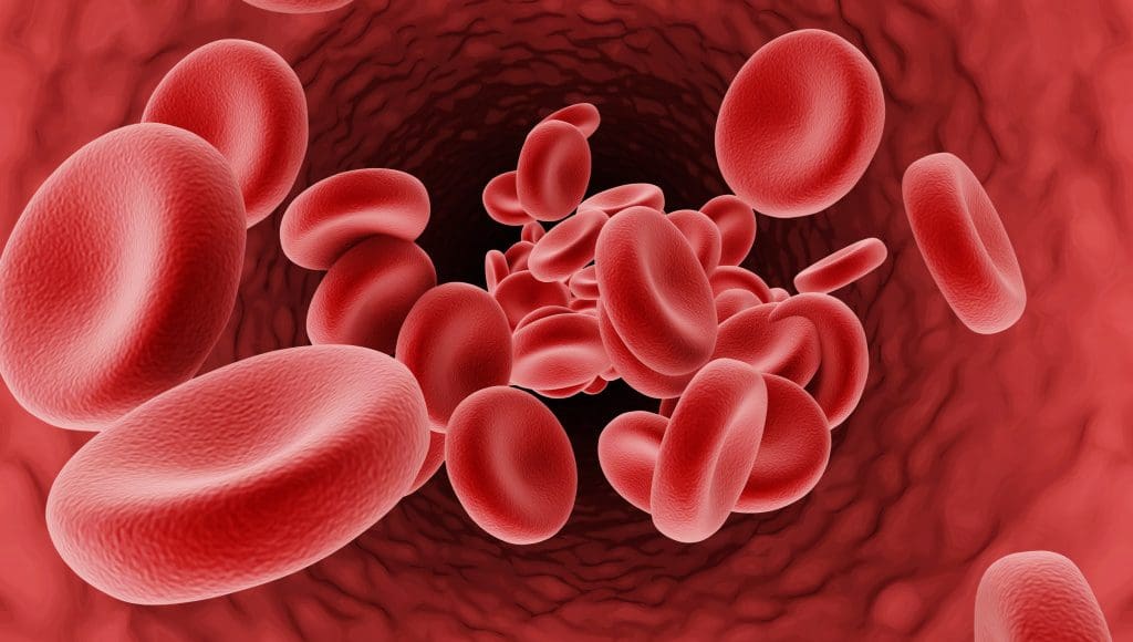 أفضل علاج لنقص كريات الدم الحمراء