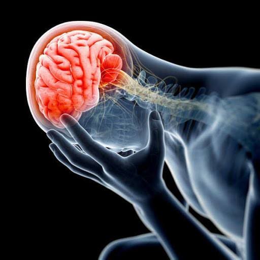 دراسات عن نزيف المخ والسكتة الدماغية