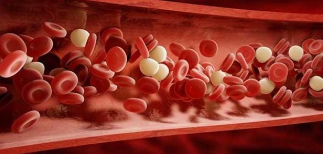 الدم الحمراء خلايا شكل نقل الغازات