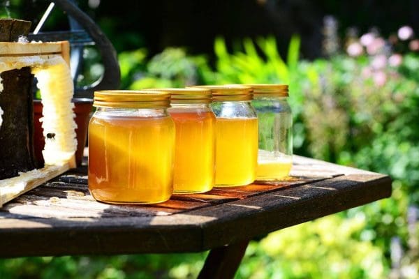 علاج مرض بيروني بالعسل