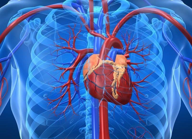 كم يعيش الإنسان بعد عملية القلب المفتوح
