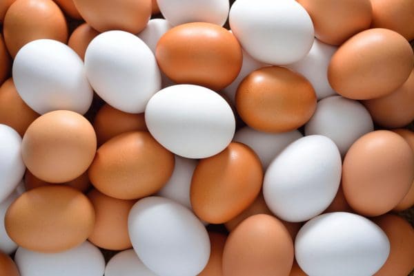 هل البيض وراء أعراض تهيج القولون؟