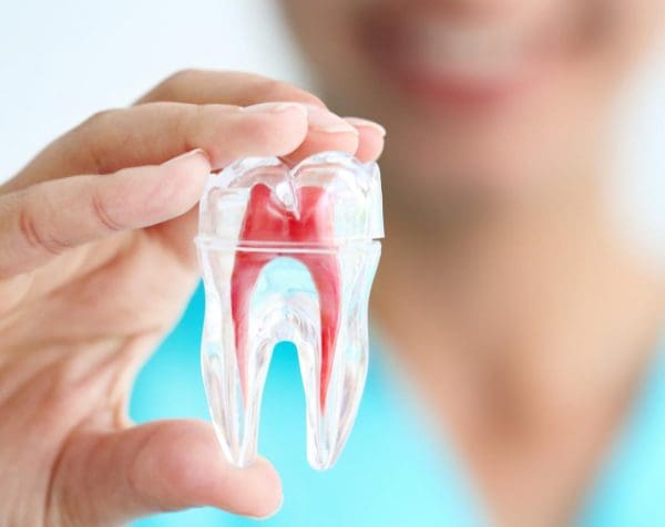 راتب طبيب الأسنان في الامارات والفروق بين الأطباء الذكور والإناث زيادة