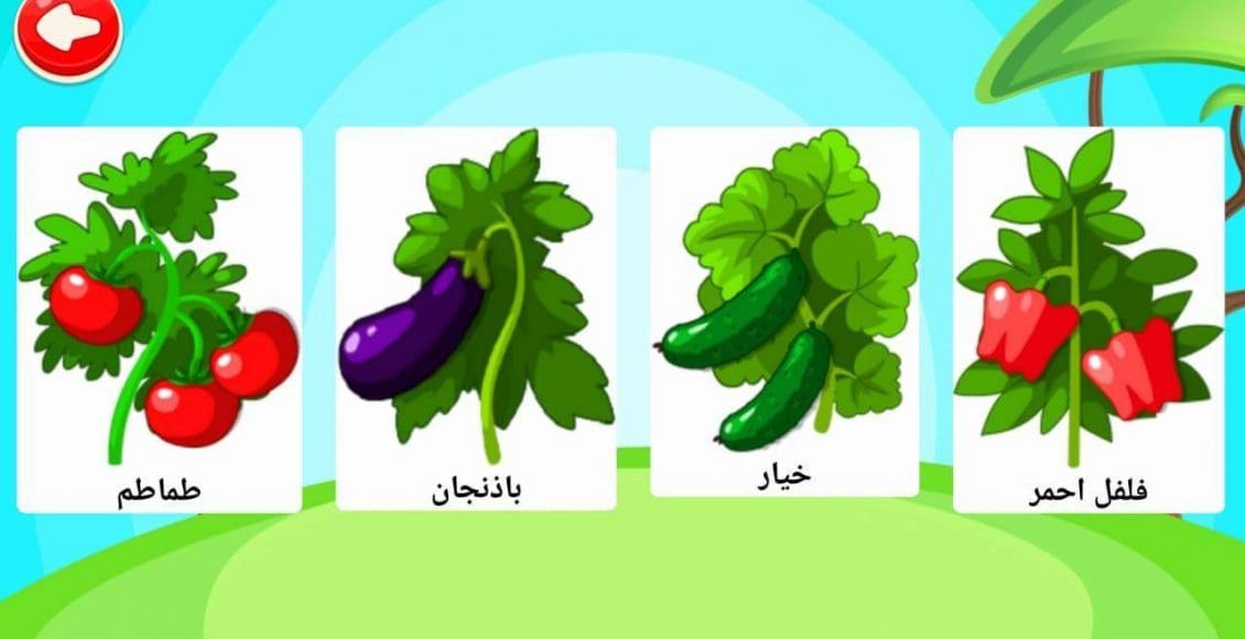 أسماء الخضروات بالعربية بالصور