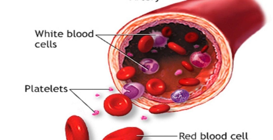تحليل red cell count