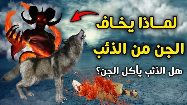 هل الذئب يأكل الجن