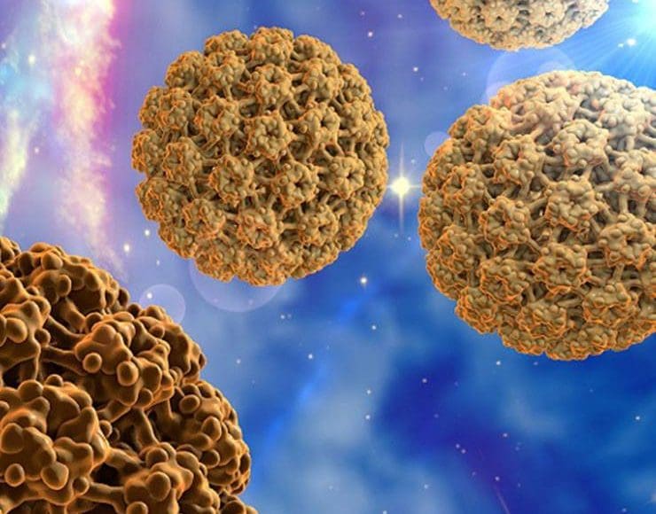 هل يختفي فيروس الورم الحليمي البشري