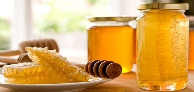 كيف ينتج النحل العسل؟