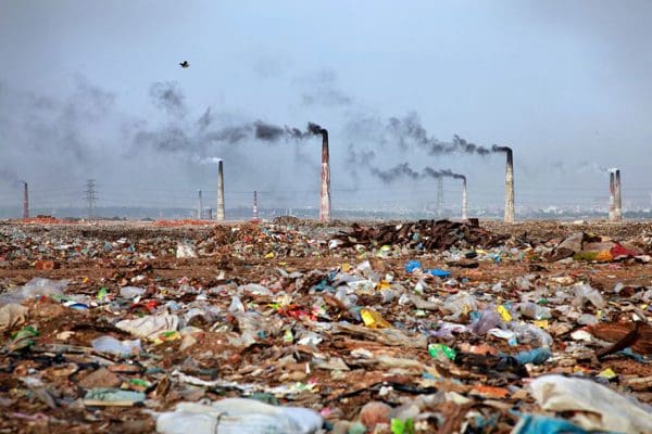 تأثير التلوث على البيئة