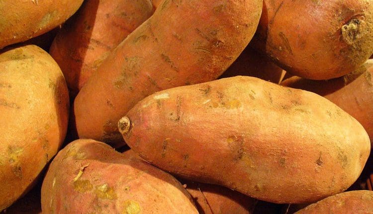 فوائد البطاطا الحلوة للرجال