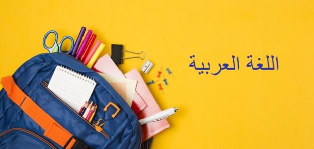 أنواع الجموع في اللغة العربية