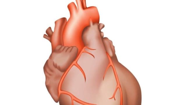 علاج ضعف عضلة القلب بالقرآن