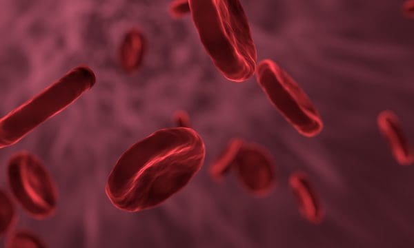 كم خلية دم حمراء يستطيع إنتاجها الجسم في اليوم الواحد؟