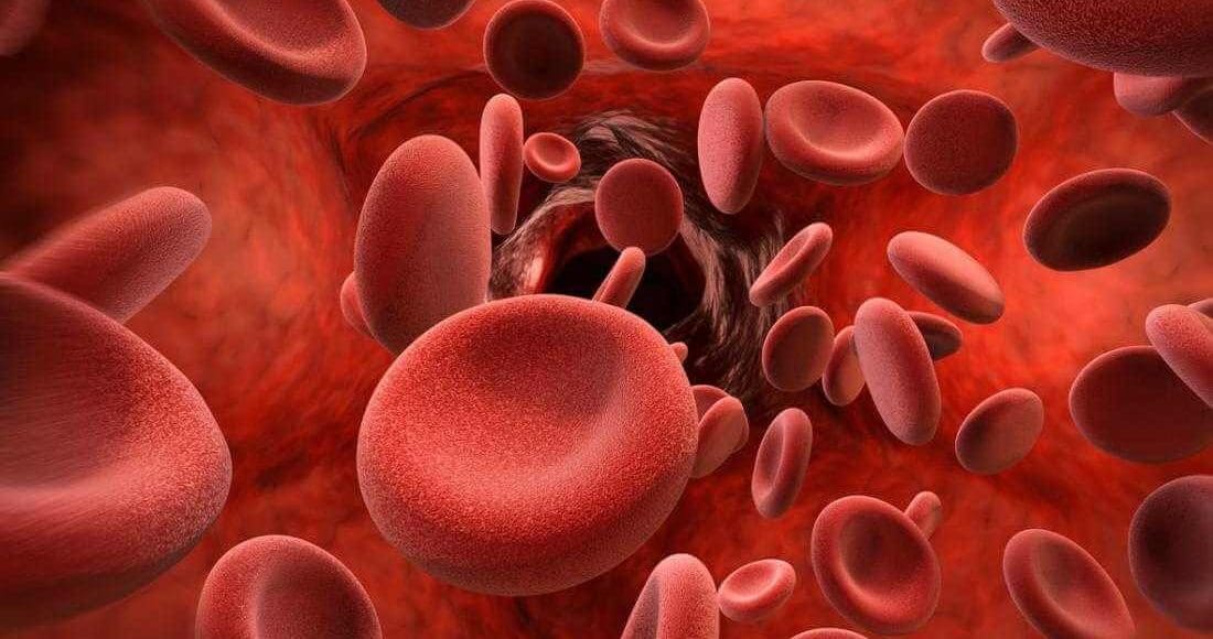 أفضل 5 طرق تساعدك على زيادة كريات الدم الحمراء