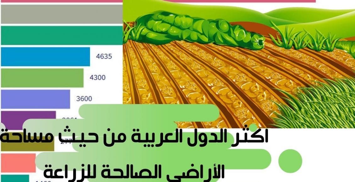 ترتيب الدول العربية من حيث الإنتاج الزراعي 2021