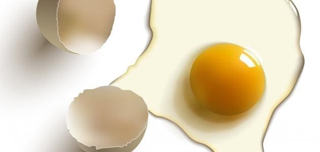 فوائد بياض البيض للشعر وطريقة استخدامه