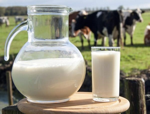 لأصبح الذي وجد في الحليب الحليب كامل لو غذاء العنصر ماهو ماهو العنصر
