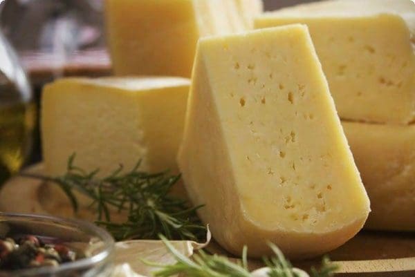 دراسة جدوى مشروع صناعة الجبن الرومي 2021