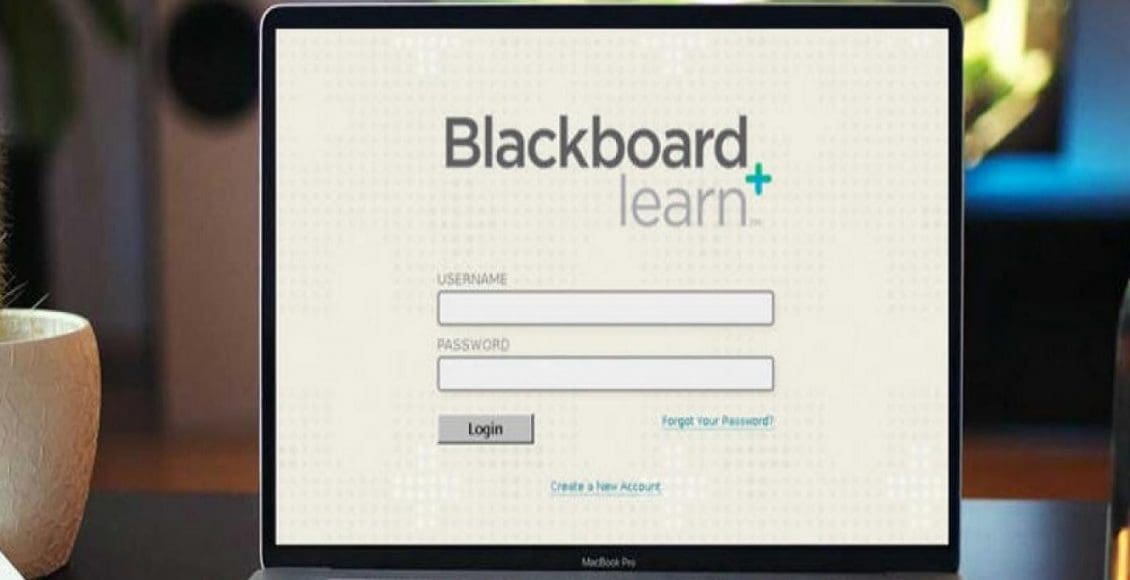 رابط بلاك بورد جامعة تبوك التعليم الالكتروني blackboard tabuk