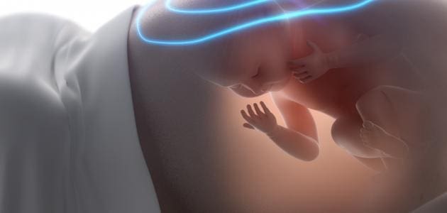 متى يتحرك الجنين في بطن أمه وكيف؟