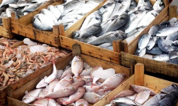 تفسير رؤية شراء السمك في المنام للعزباء